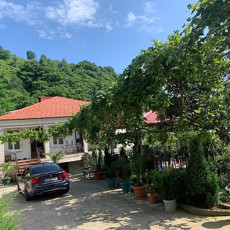 متسفاني كونتسخي Guesthouse Mtsvane Koncxi 22 المظهر الخارجي الصورة